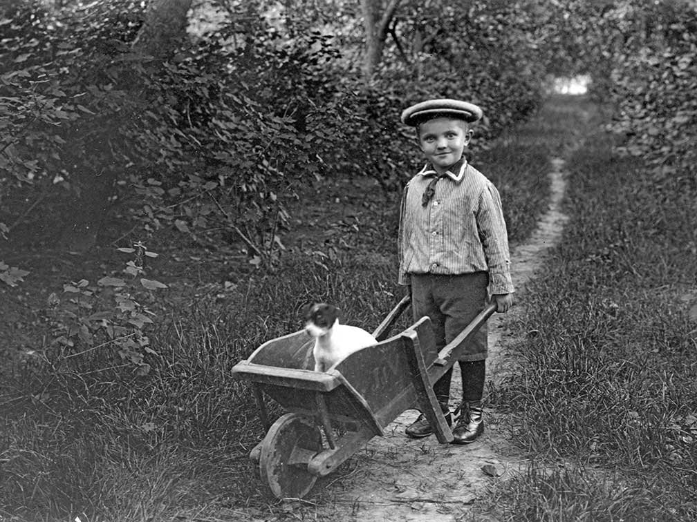 photo of small boy with wheelbarrow and dog