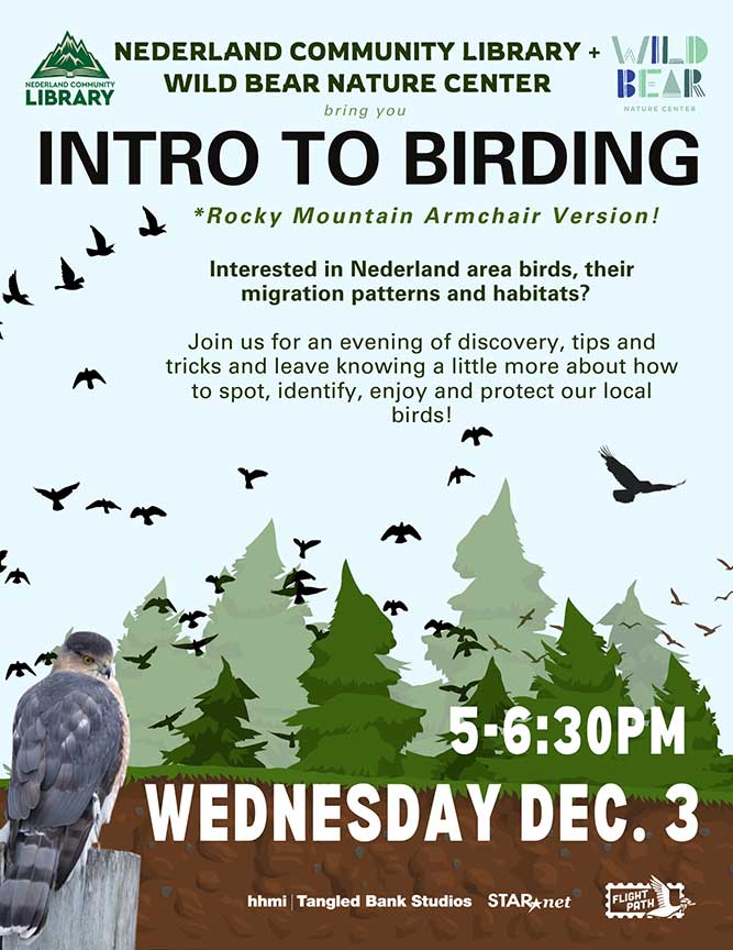 flyer for Introduction to Birding program