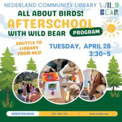 flyer for Afterschool program with Wild Bear