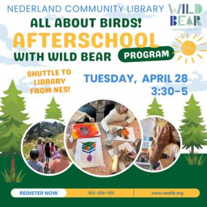 flyer for Afterschool program with Wild Bear