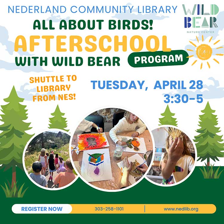 flyer for Afterschool program with Wild Bear